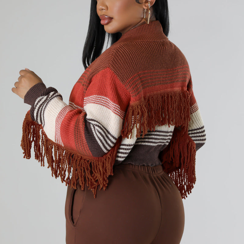 Colorful Tassles Long Sleeve Crop Sweater