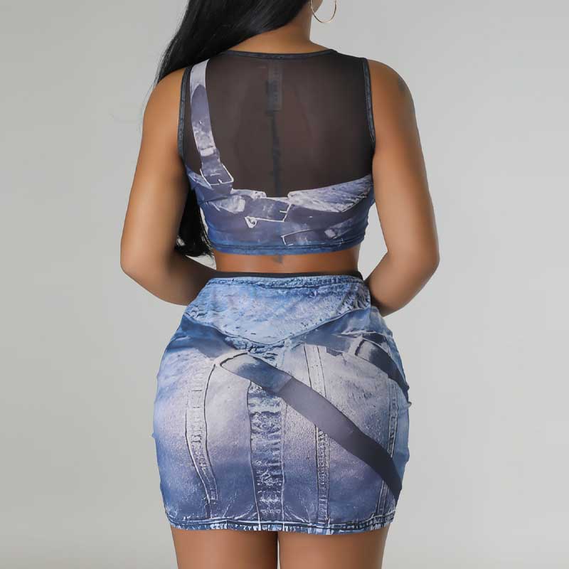 Print Sheer Mesh 2PCS Skirt Set