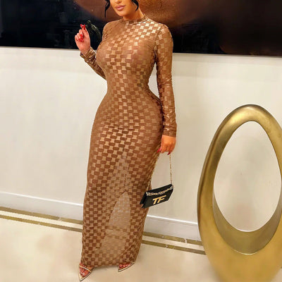 Solid Sheer Mesh Long Sleeve Maxi Dress