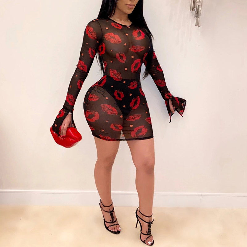 Print Sheer Mesh Long Sleeve Bodycon Dress