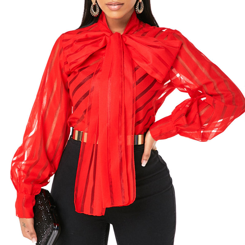 Lantern Sleeve Sheer Mesh Tied Blouse