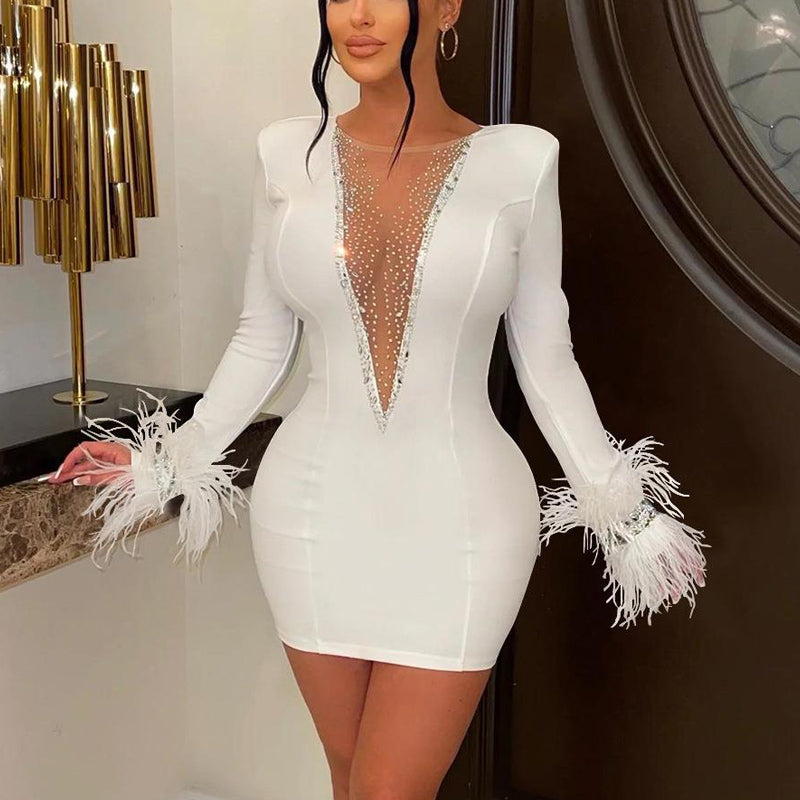 Rhinestone Long Sleeve Sheer Mesh Feather Design Bodycon Dress