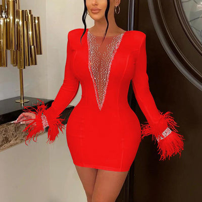 Rhinestone Long Sleeve Sheer Mesh Feather Design Bodycon Dress