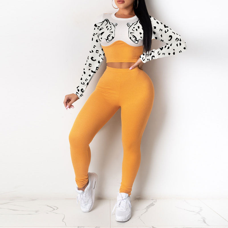 Colorblock Leopard Pattern Long Sleeve Crop Top & Pants Set