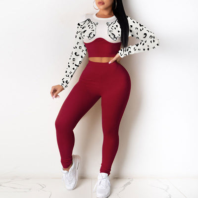 Colorblock Leopard Pattern Long Sleeve Crop Top & Pants Set