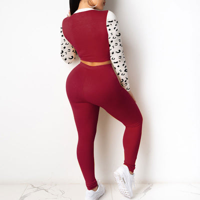 Colorblock Leopard Pattern Long Sleeve Crop Top & Pants Set