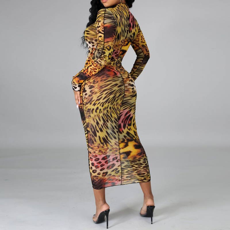 Print Long Sleeve Sheer Mesh Maxi Dress