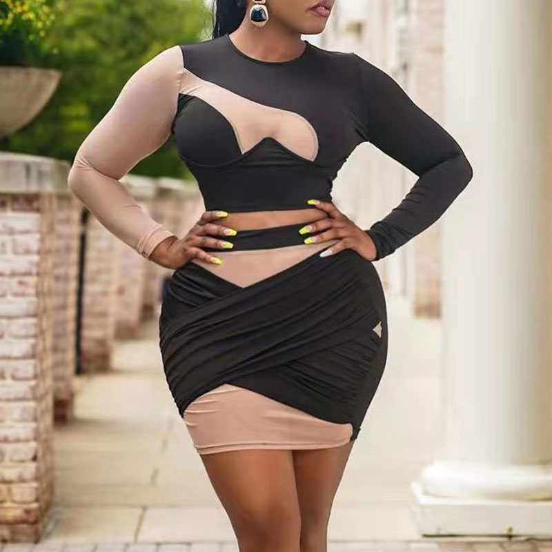 Colorblock Long Sleeve Sheer Mesh Bodycon Dress