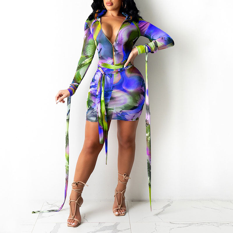 Print Long Sleeve Bandage Sheer Mesh Bodycon Dress