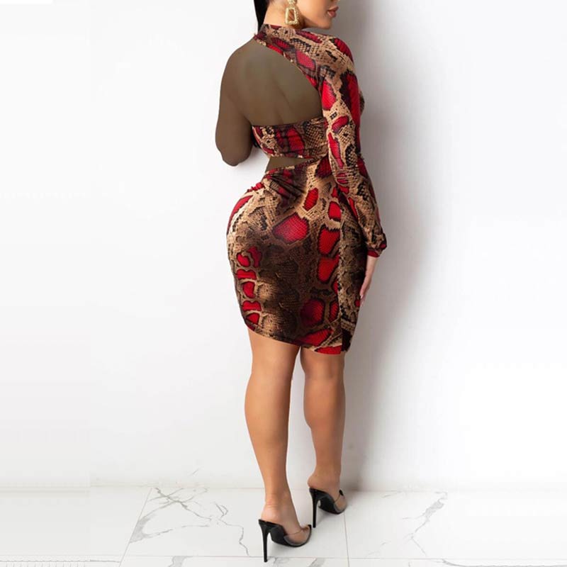 Leopard Pattern Sheer Mesh Patchwork Bodycon Dress