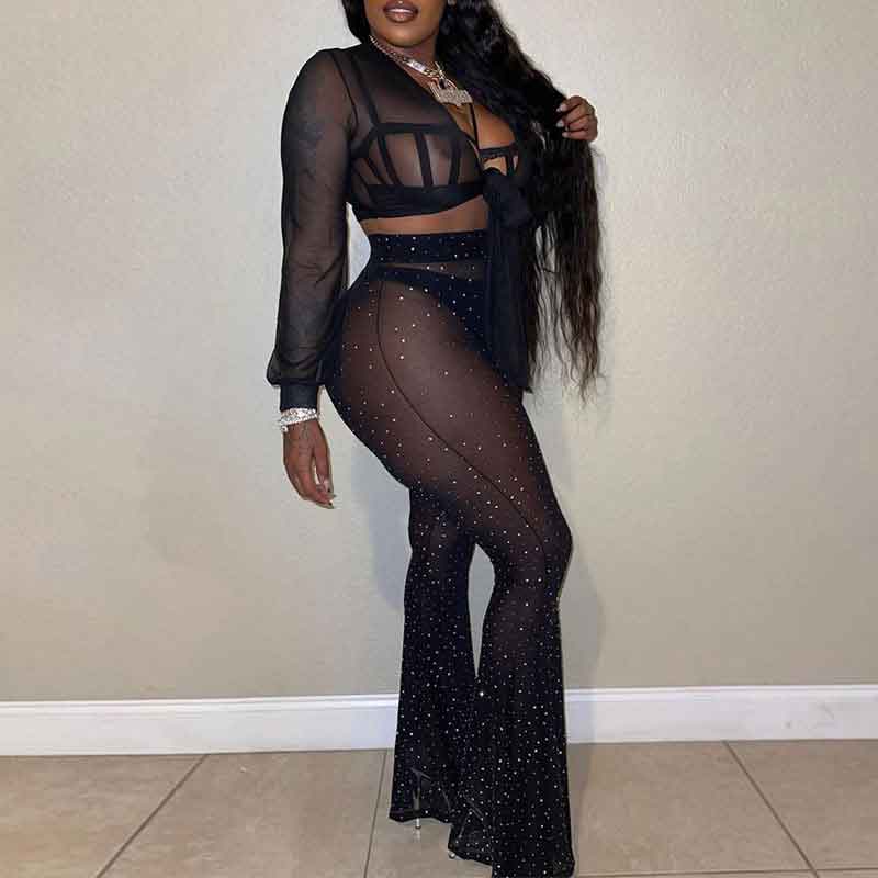 Glitter Sheer Mesh Crop Top & Bell-Bottomed Pants Set