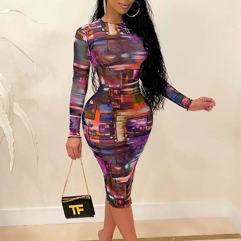 Print Long Sleeve Mesh Bodycon Dress