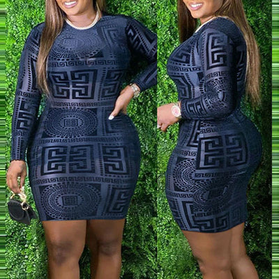 Print Long Sleeve Sheer Mesh Bodycon Dress