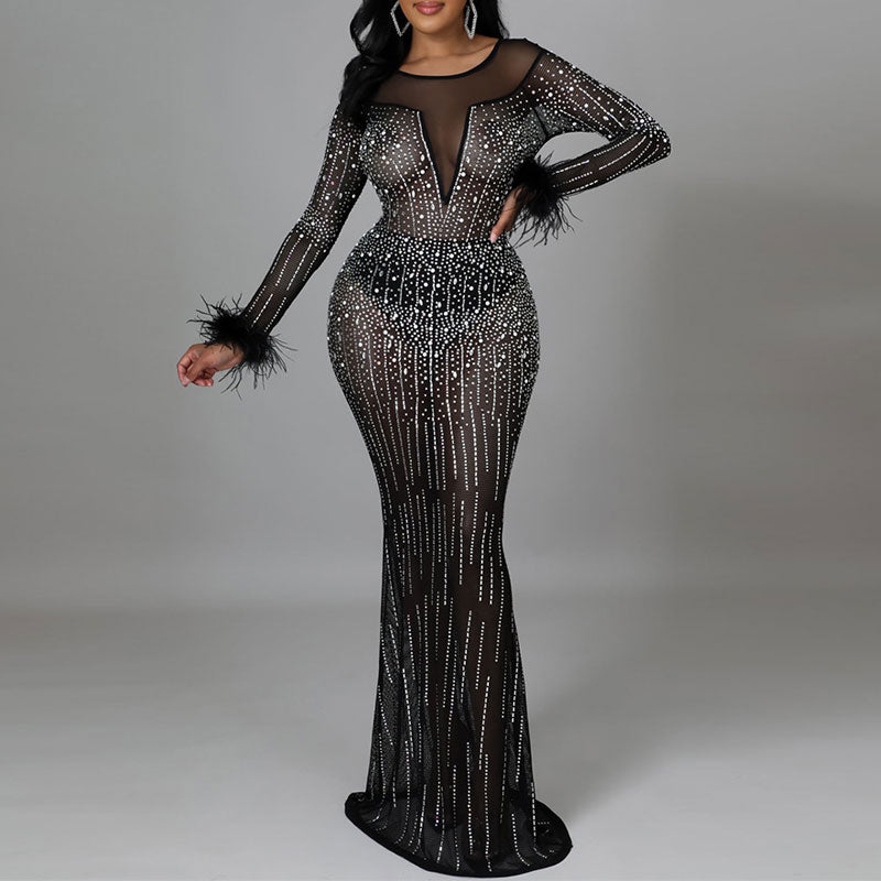 Rhinestone Long Sleeve Feather Design Sheer Mesh Floor-Length Dress