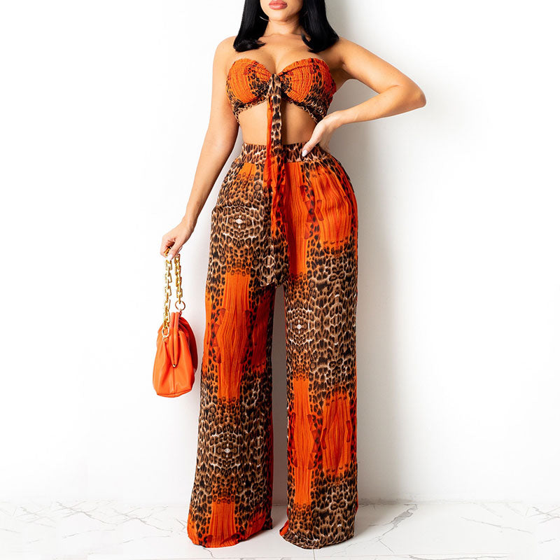 Leopard Pattern Tube Top & Pants Set