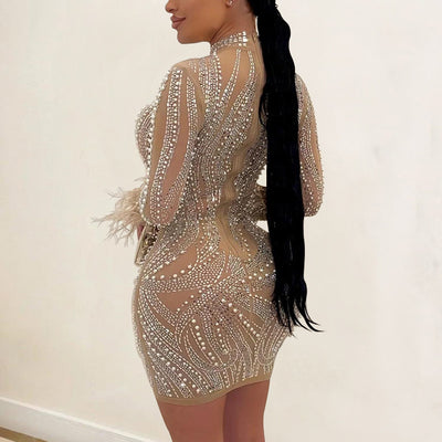 Rhinestone Beaded Mesh Patchwork Feather Design Bodycon Dress