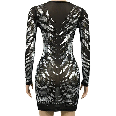 Sequins Sheer Mesh Long Sleeve Bodycon Dress