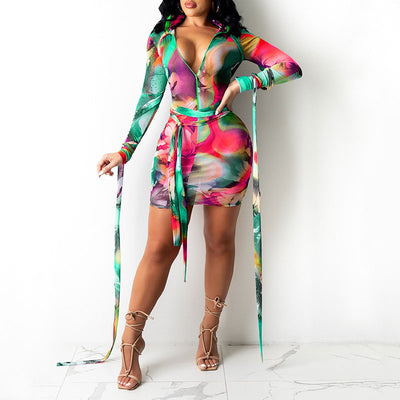 Print Long Sleeve Bandage Sheer Mesh Bodycon Dress