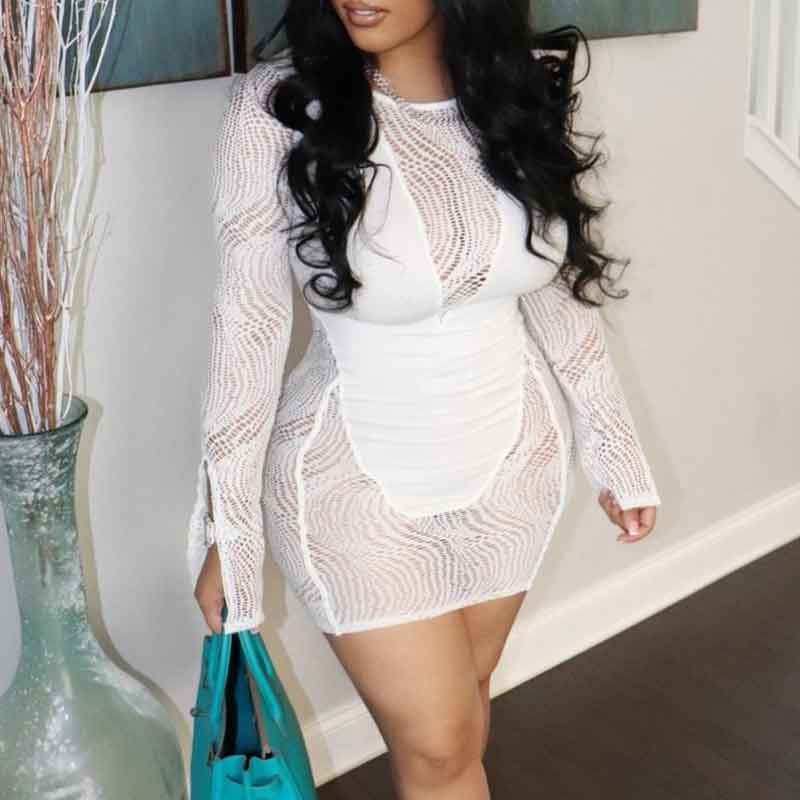 Solid Sheer Mesh Long Sleeve Bodycon Dress