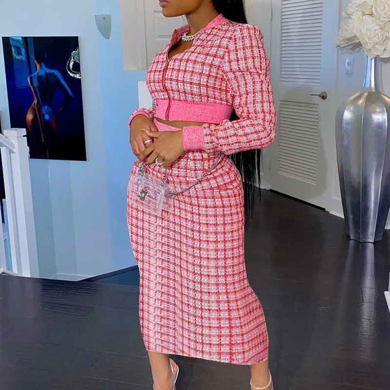 Plaid Pattern Long Sleeve Top & Skirt Set