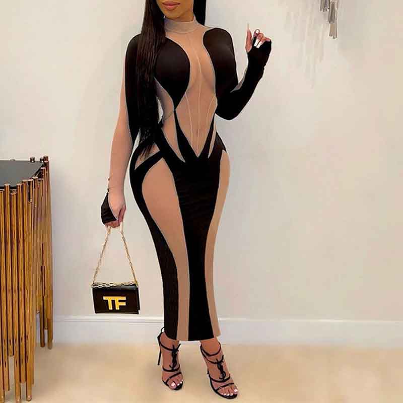 Colorlock Long Sleeve Sheer Mesh Maxi Dress