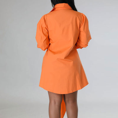 Solid Long Sleeve Bowknot Decoration Shirt Dress