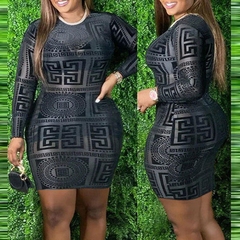 Print Long Sleeve Sheer Mesh Bodycon Dress