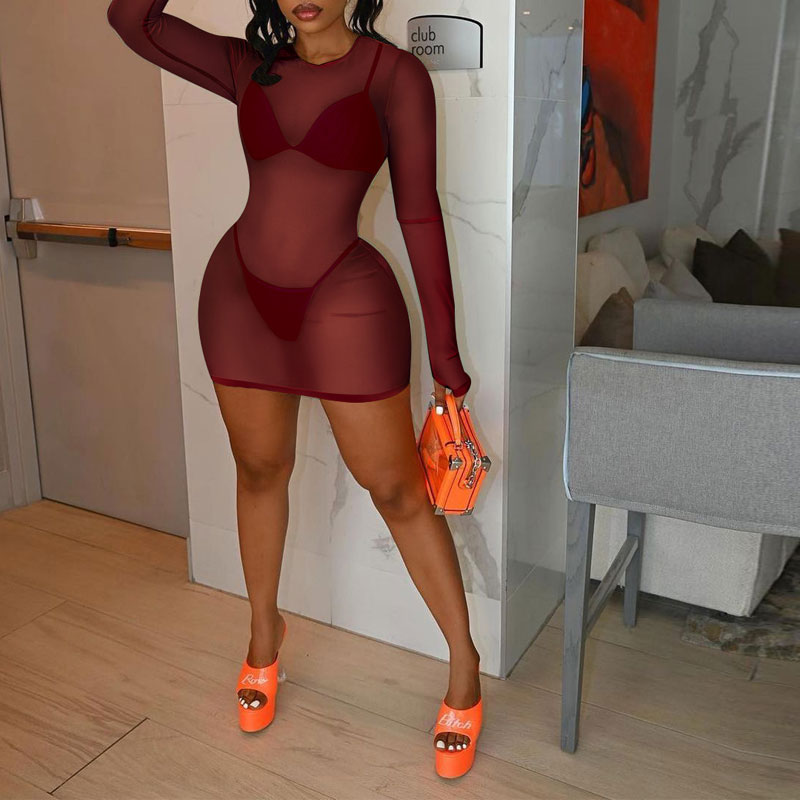 Solid Long Sleeve Sheer Mesh Three Piece Dress Set