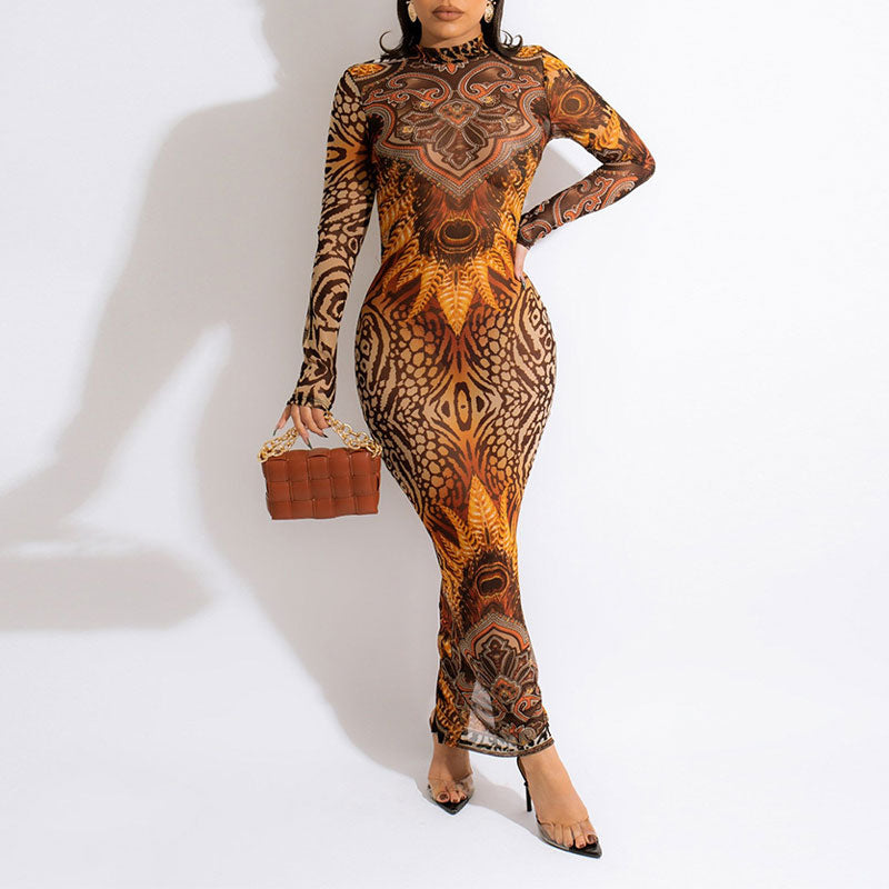 Print Long Sleeve Sheer Mesh Backless Maxi Dress